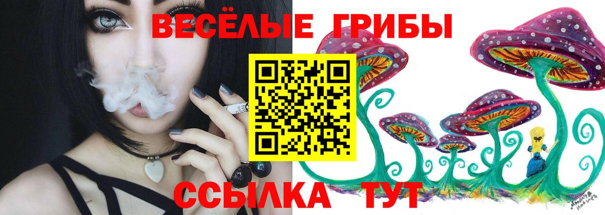 Галлюциногенные грибы ЛСД  купить наркотик  Ялта  Вход с VPN  Галлюциногенные грибы GOLDEN TEACHER 